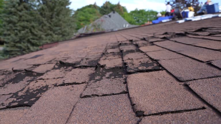 Best Slate Roofing  in Nokomis, IL