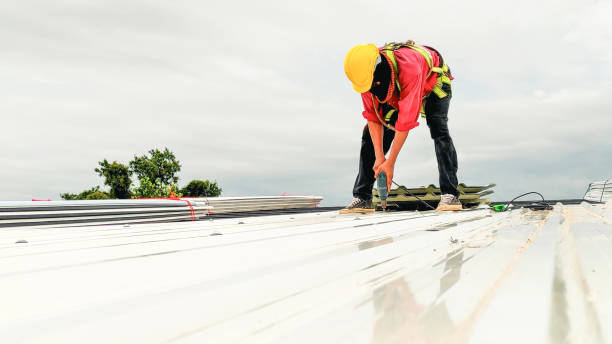 Best Emergency Roof Repair Services  in Nokomis, IL