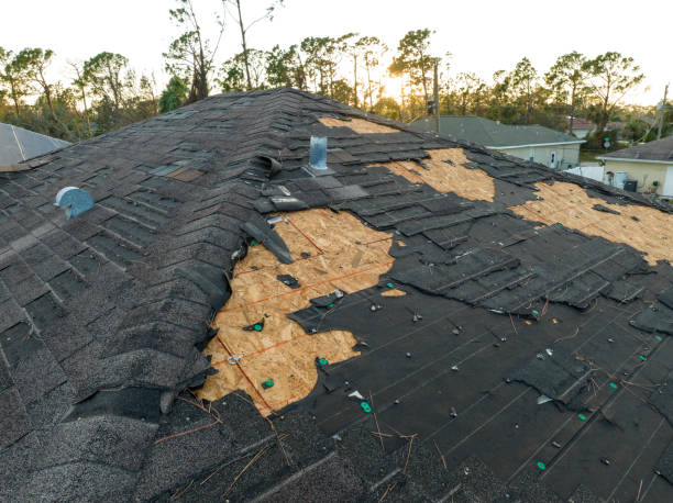 Best Gutter Installation and Repair  in Nokomis, IL