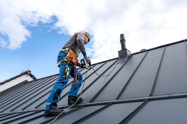 Best Chimney Flashing Repair  in Nokomis, IL